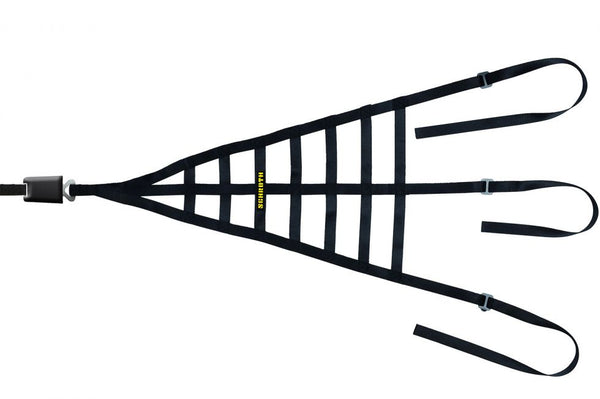 Schroth Driver/Interior Net