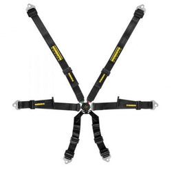 Schroth Profi 2 x 2 Hans Gordelset
