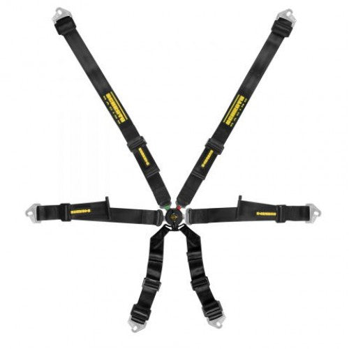 Schroth Profi 2 x 2 Hans Gordelset