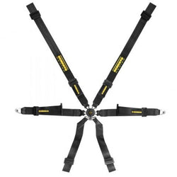 Schroth Profi XLT 2 x 2 Hans Gordelset (Pulldown or Pull Up)